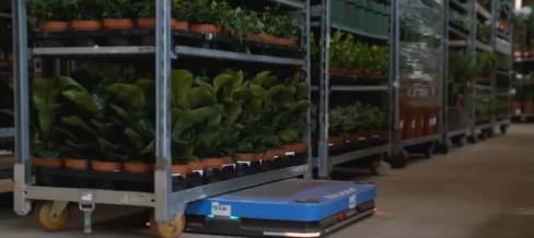 Autonomous transfer robots are also used in plant factories