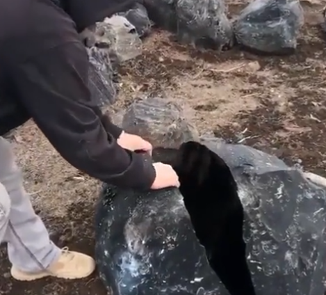 An enormous obsidian stone split in half