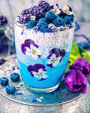 Chia blue pudding with fresh berries