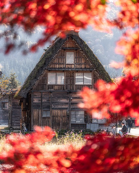 白川郷の紅葉が今まさに見頃