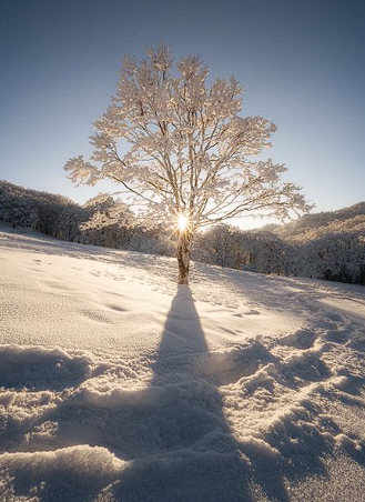 雪山で迎えた朝が絶景でした