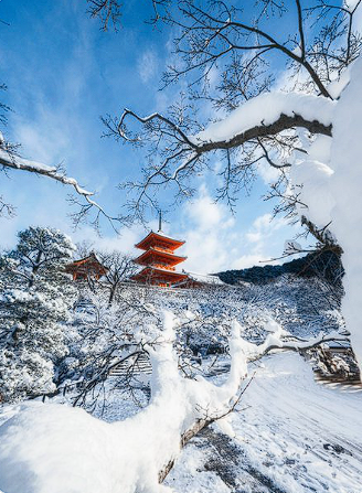 京都 清水寺の雪景色に圧倒された