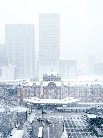 東京の雪、圧巻の景色