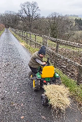 Little farmer